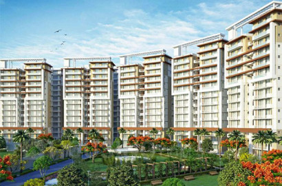 3BHK Luxury Apartments in Skylar Homes, Zirakpur (near Chandigarh)